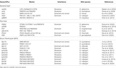 Potential of Genome Editing to Capture Diversity From Australian Wild Rice Relatives